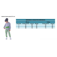 Conjunto Moletom C/ Calça Cinza Dinossauro