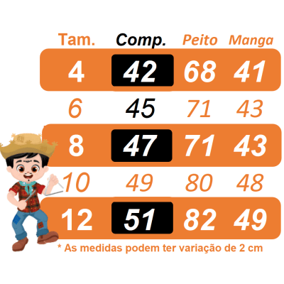 Camisa Flanelada Xadrez Junino Azul C/ Lenço e Gravata