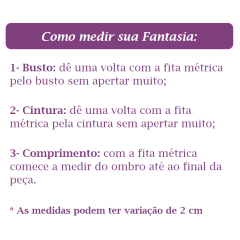 Fantasia Mini Saia Adulto Junino Arraiá Azul Xadrez Festas