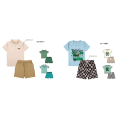 Kit Conjunto Meninos Camiseta e Shorts Com Estampas Variadas